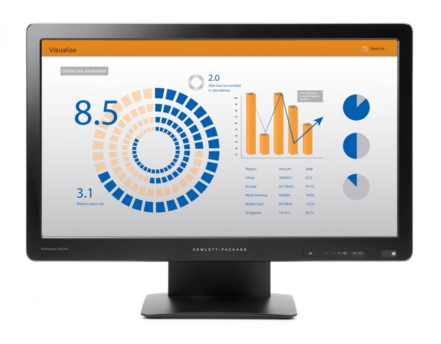 MONITOR HP PRODISPLAY P202VA 19,5